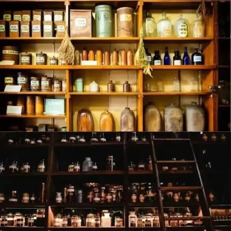 The Holistic Home Apothecary B - Herbal Holistic Wellness recension och pris