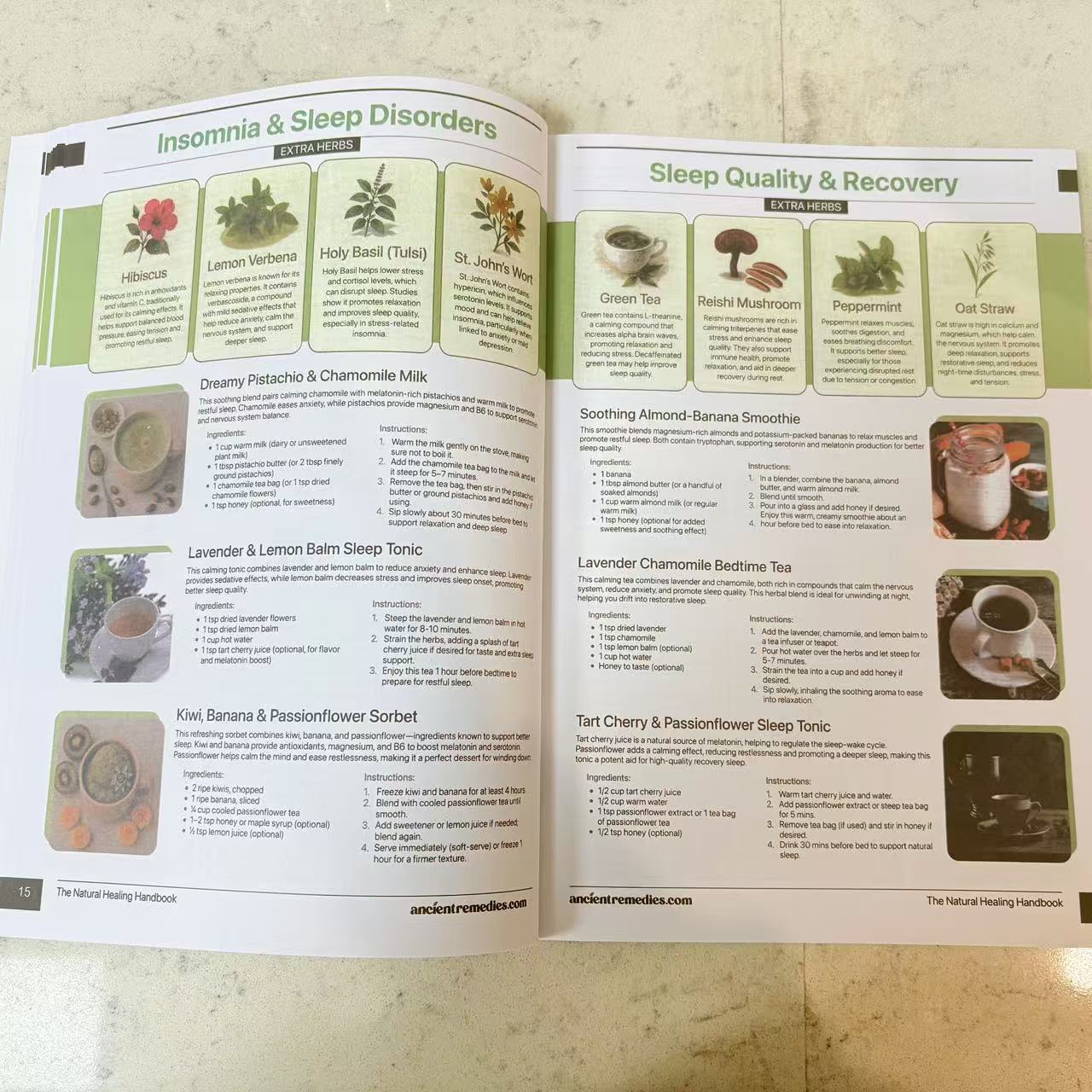 The Natural Healing Handbook | - Herbal Holistic Wellness recension och pris