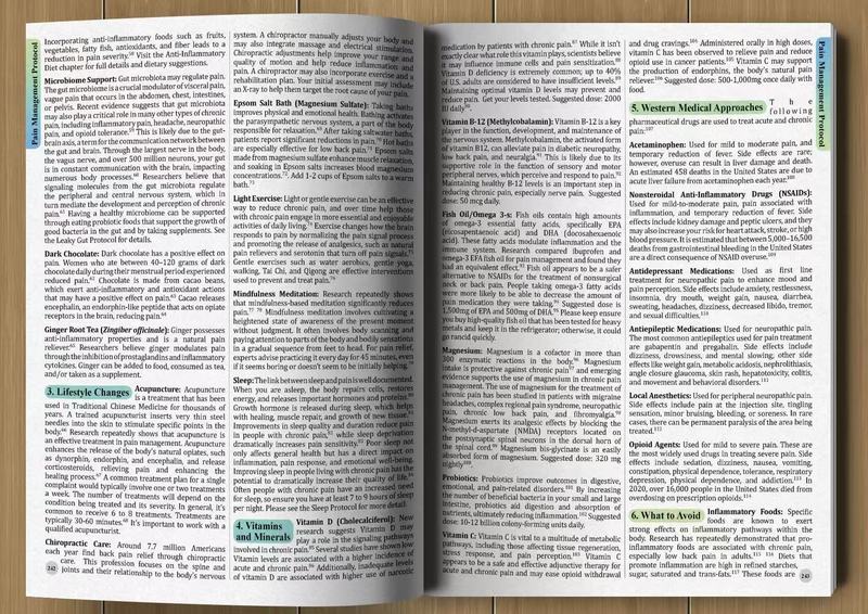 The Holistic Guide To Wellness - Herbal Holistic Wellness recension och pris